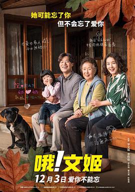 日韩毛片儿
