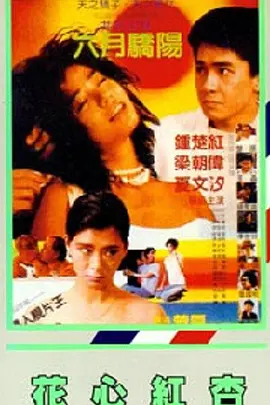 成人精品一区二区久久