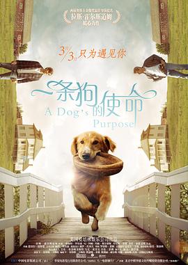 国产大乳喷奶水在线看