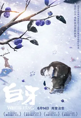 青草伊人网