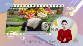 小舞3d同人18av黄漫网站
